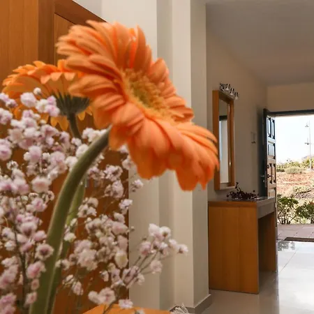Апартаменты Summer Flower Apartment, Park Albatros, Close To The Ocean,golf Del Sur *