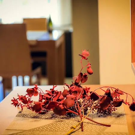 Summer Flower Apartment, Park Albatros, Close To The Ocean,golf Del Sur *