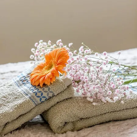 Summer Flower Apartment, Park Albatros, Close To The Ocean,golf Del Sur