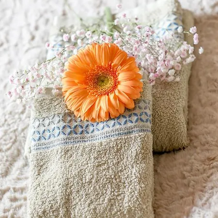 Summer Flower Apartment, Park Albatros, Close To The Ocean,golf Del Sur 아파트 *