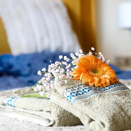 Summer Flower Apartment, Park Albatros, Close To The Ocean,golf Del Sur *