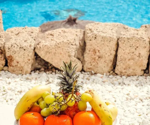 Summer Flower Apartment, Park Albatros, Close To The Ocean,golf Del Sur 아파트 산미겔데아보나