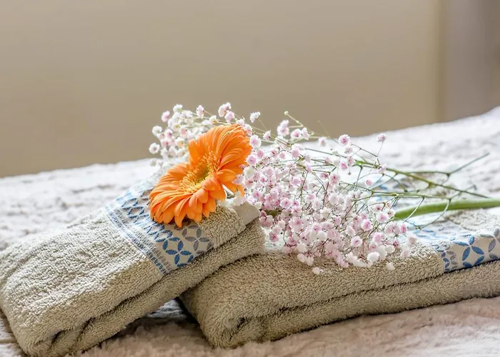 Summer Flower Apartment, Park Albatros, Close To The Ocean,golf Del Sur