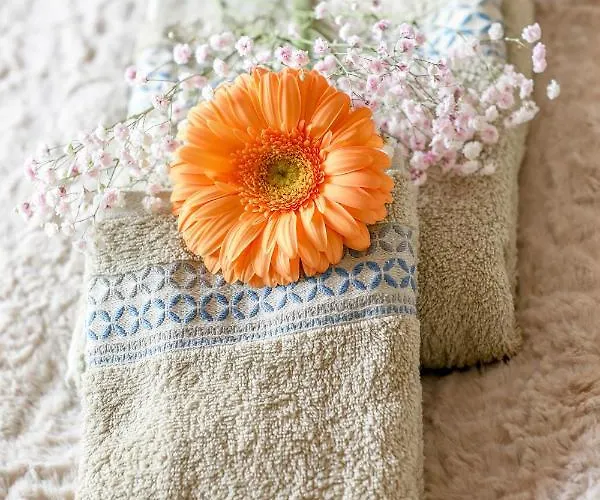 Summer Flower Apartment, Park Albatros, Close To The Ocean,golf Del Sur 아파트 *